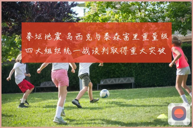 拳坛地震 乌西克与泰森富里重量级四大组织统一战谈判取得重大突破