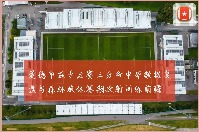 爱德华兹季后赛三分命中率数据复盘与森林狼休赛期投射训练前瞻
