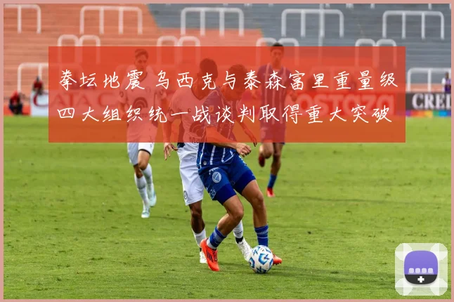 拳坛地震 乌西克与泰森富里重量级四大组织统一战谈判取得重大突破
